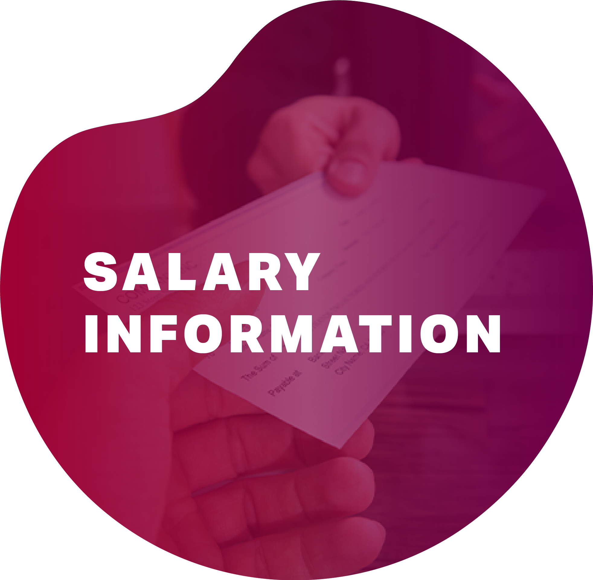 Cherry_salary calculator 1